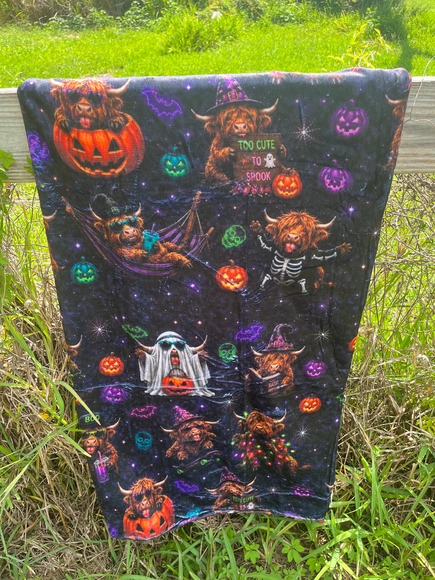 Moo I Mean Boo Blanket