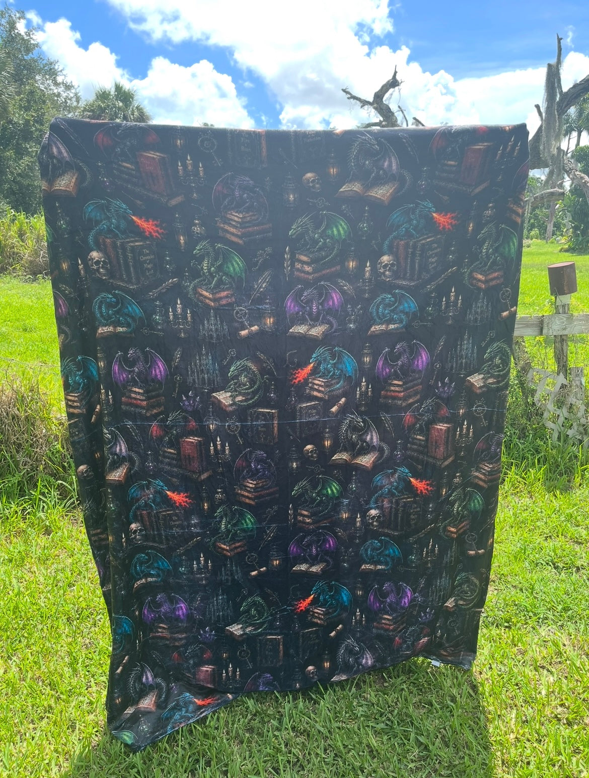 Dragons & Books Blanket