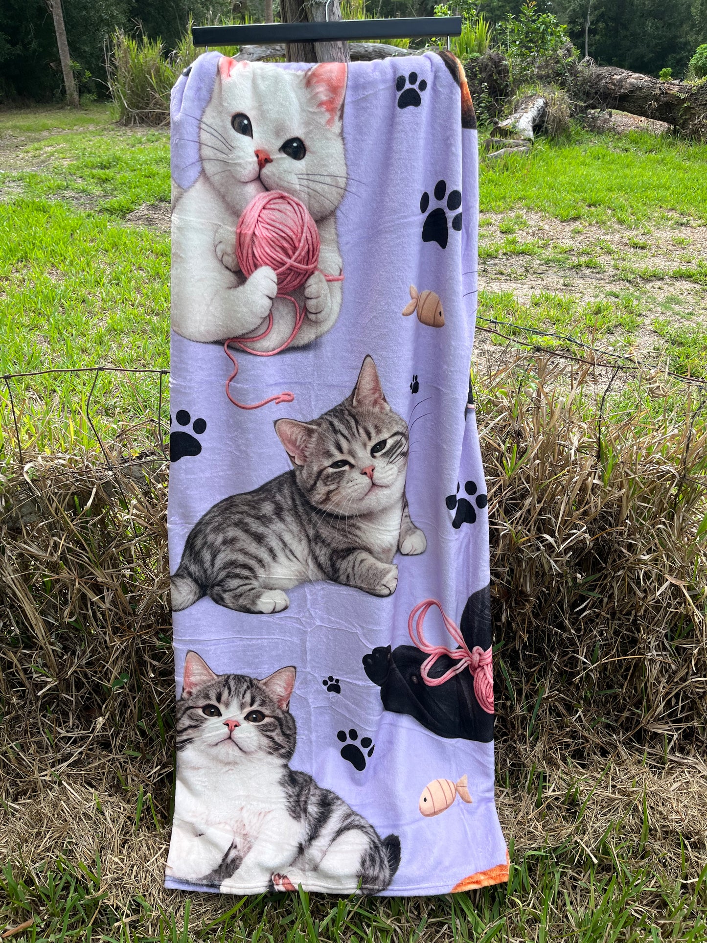 Feisty Felines Blanket
